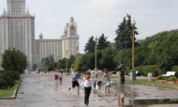 Собачий рай