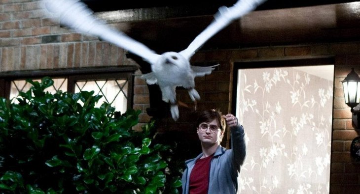 Гарри Поттер и Дары смерти: Часть I