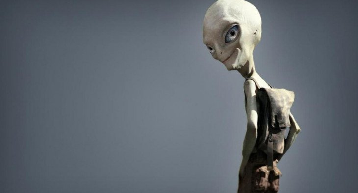 Пол: Секретный материальчик