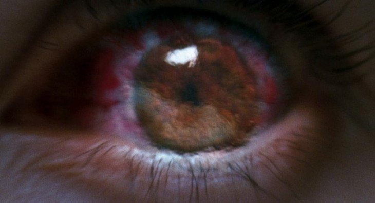 Дневной дозор