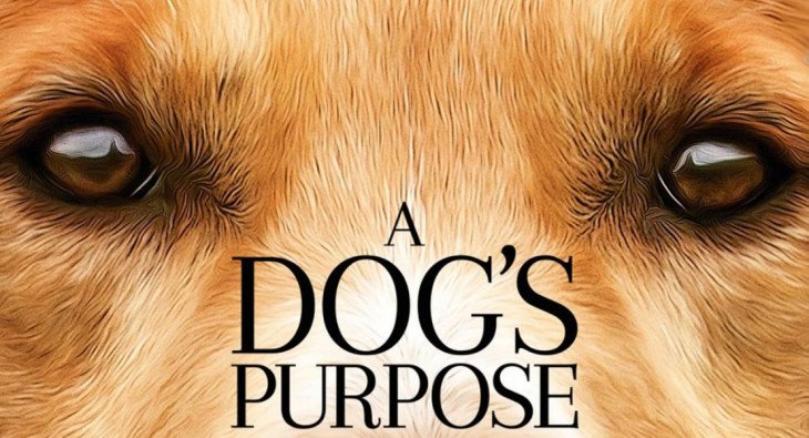 Собачья жизнь