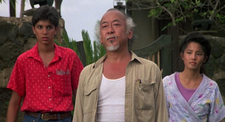 Парень-каратист 2