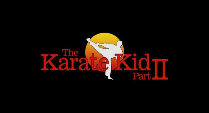 Парень-каратист 2