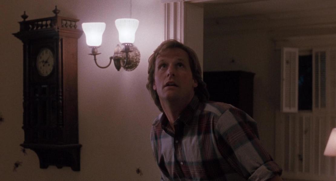 Кадры из фильма Боязнь пауков (1990) — smartfacts