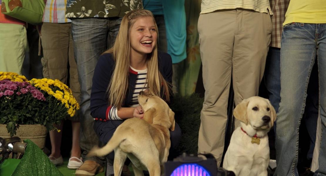 Кадры из фильма Марли и я 2 (2011) — smartfacts