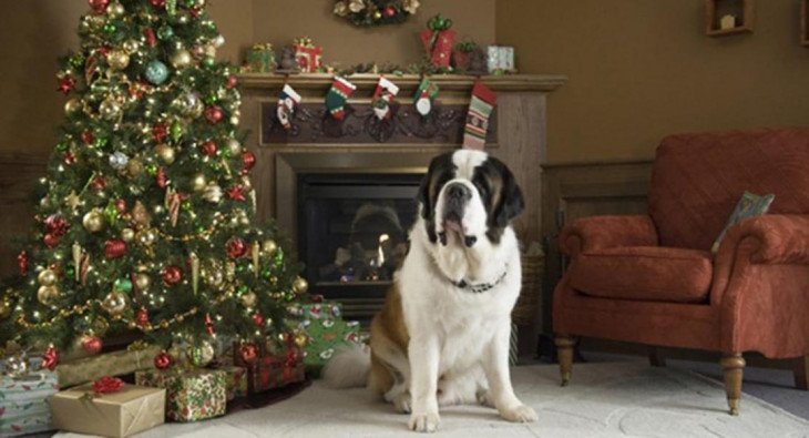 2 факта о фильме Рождественское приключение Бетховена