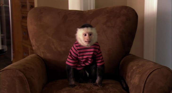 1 факт о фильме Доктор Дулиттл 5