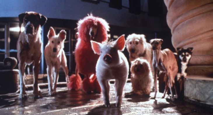 Бэйб: Поросенок в городе