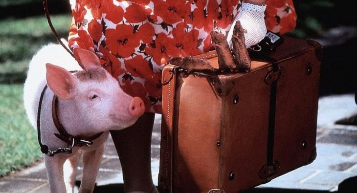 Бэйб: Поросенок в городе