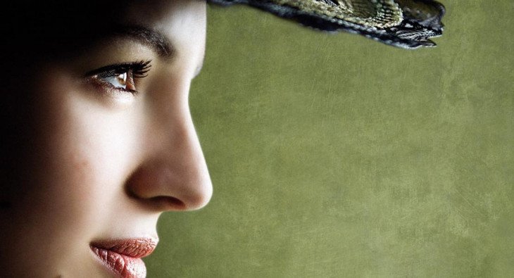 Необычайные приключения Адель