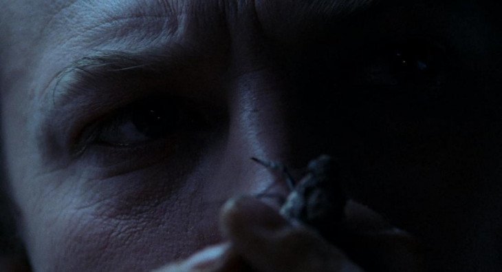 Молчание ягнят