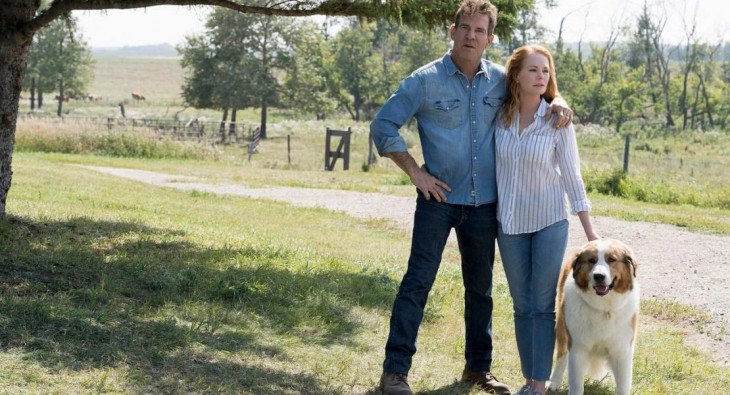 Собачья жизнь 2