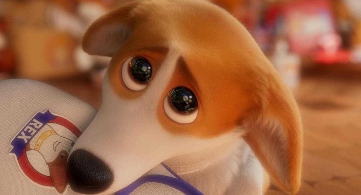 Королевский корги