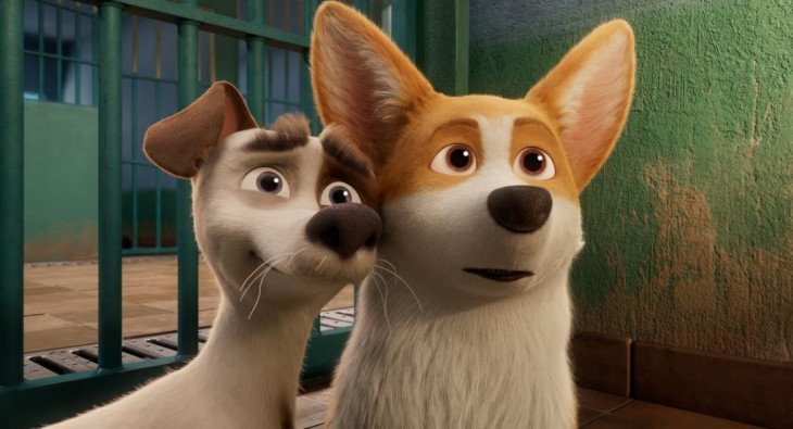 Королевский корги