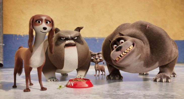 Королевский корги