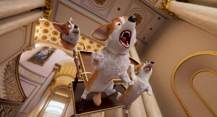 Королевский корги