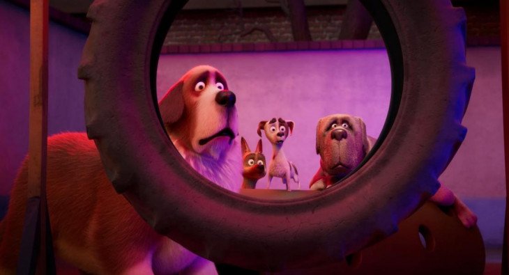 Королевский корги