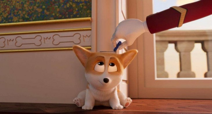 Королевский корги