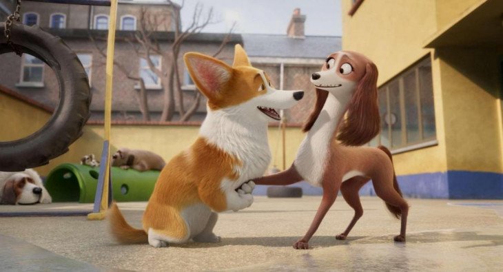 Королевский корги