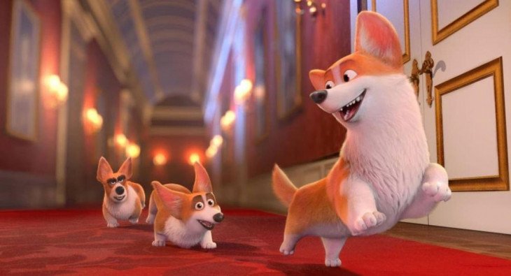 Королевский корги