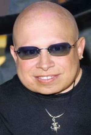 Верн Тройер