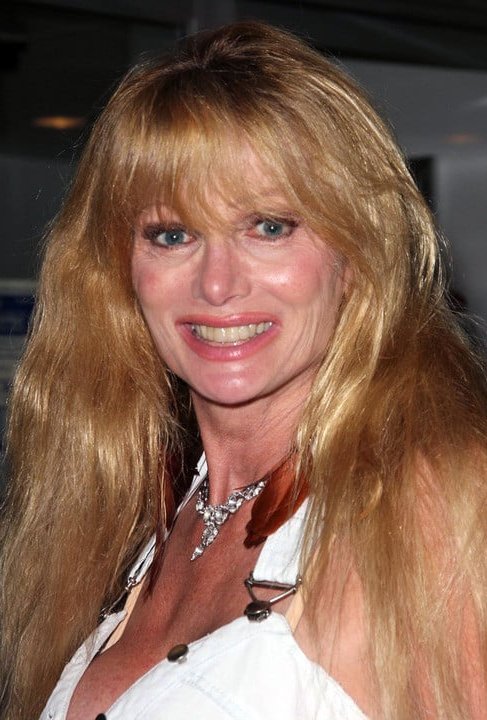 Лаурен Лэндон — факты и информация, фото, видео, фильмография. — smartfacts