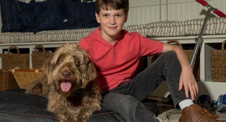 Думай как собака