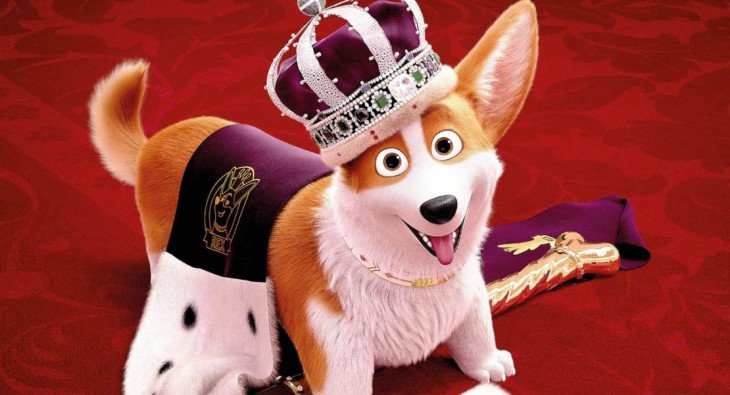 Королевский корги