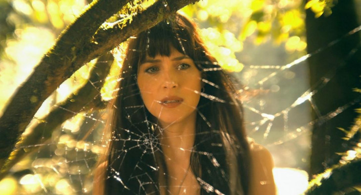 Мадам Паутина