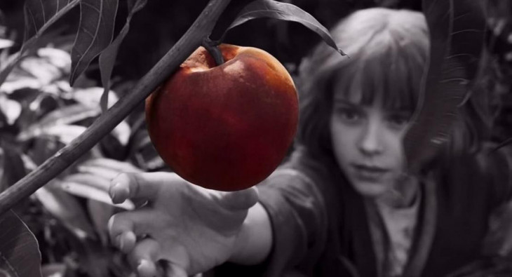 Фуриоса: Хроники Безумного Макса