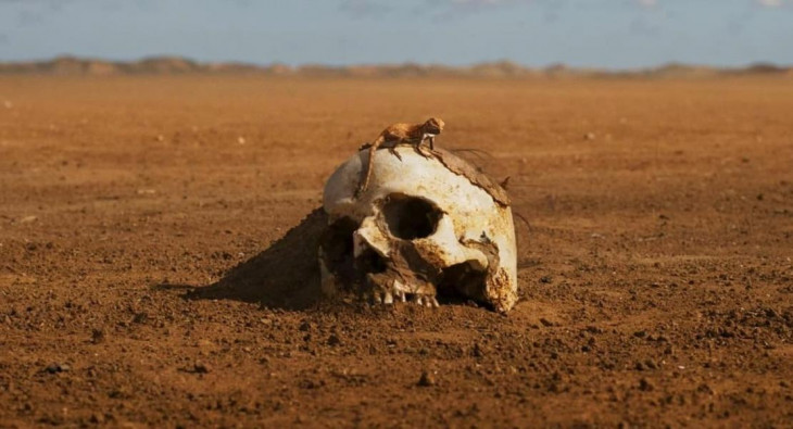 Фуриоса: Хроники Безумного Макса