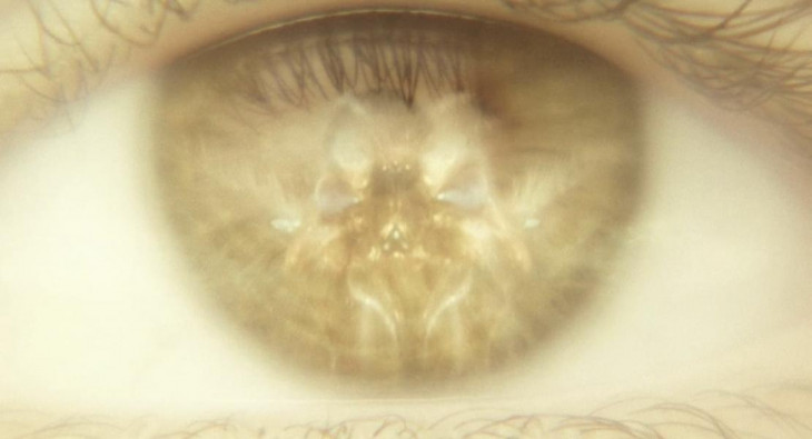 Годзилла и Конг: Новая Империя