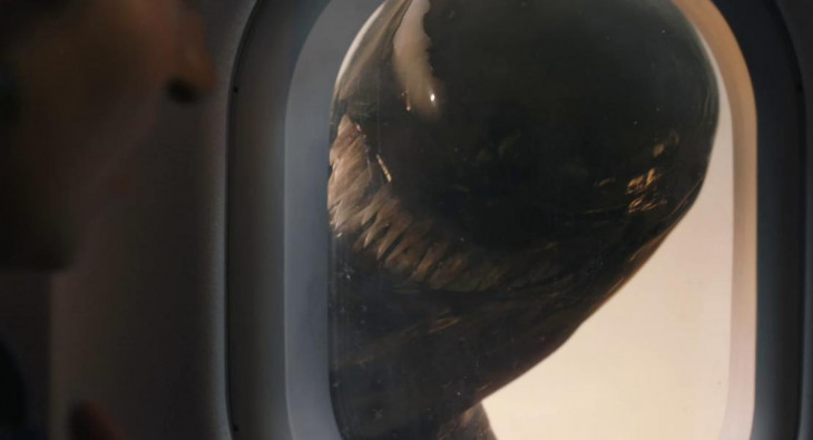 Веном: Последний танец