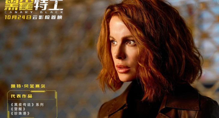 Досье «Чёрная канарейка»