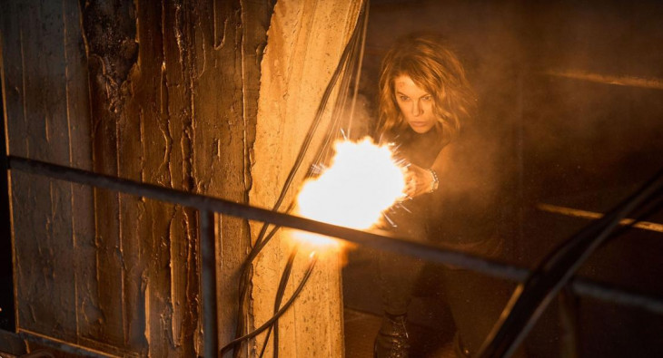 Досье «Чёрная канарейка»