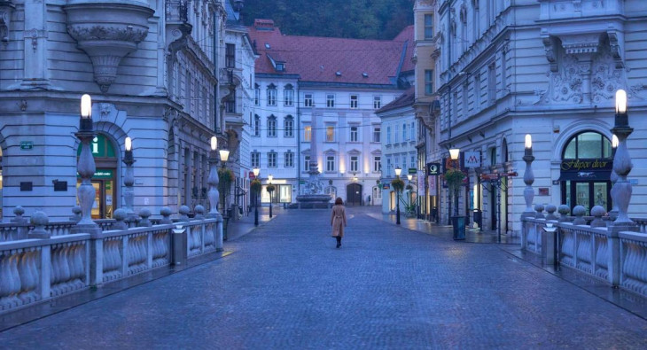 Досье «Чёрная канарейка»