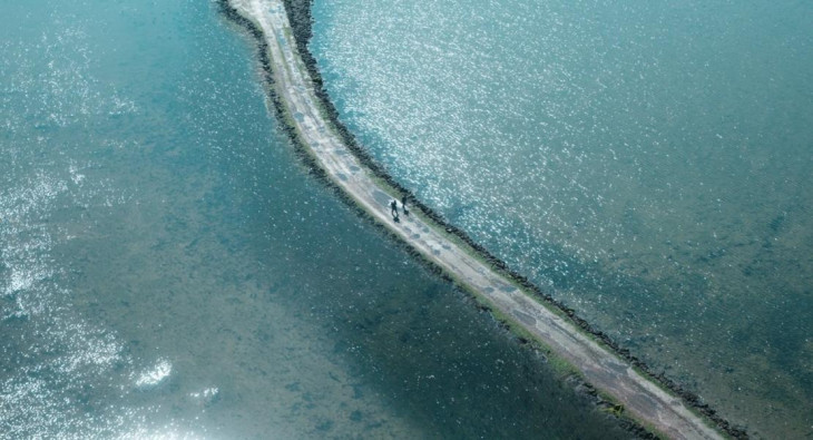 28 лет спустя