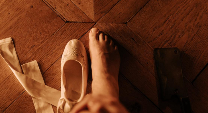 Гадкая сестра