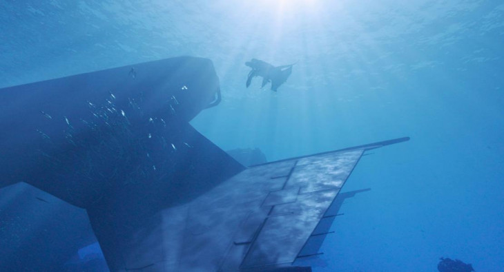 Аватар: Пламя и пепел