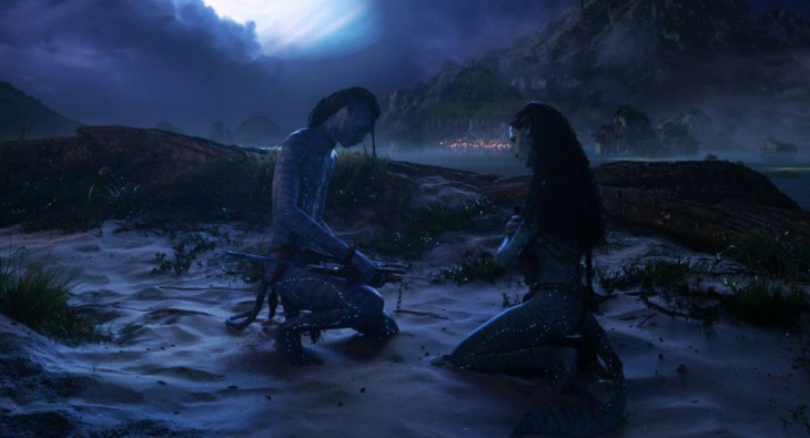 Аватар: Пламя и пепел